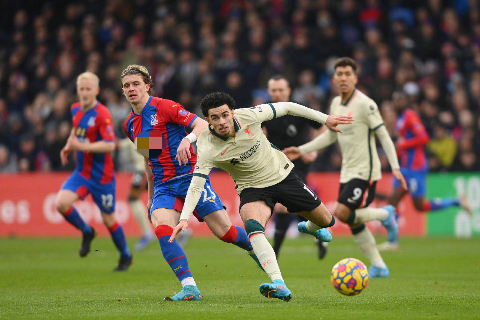 而皇家贝蒂 而皇家贝蒂