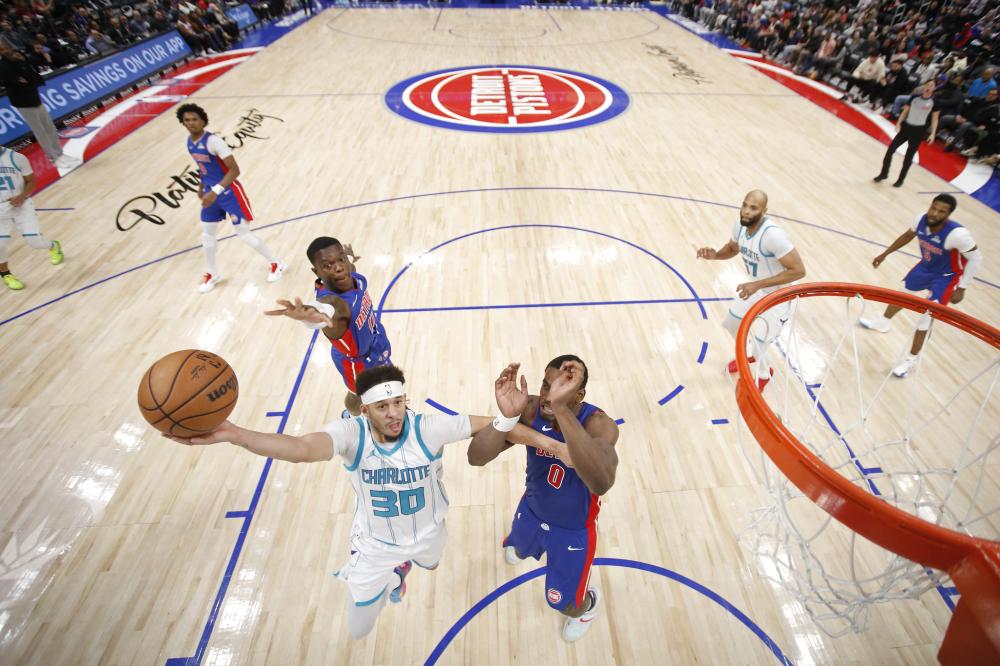 适应能力显 适应能力显